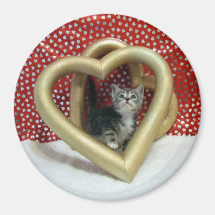 Imã Amor, Lilo - Gato Cardíaco / Gatinho