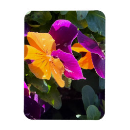 Ímã Amor-Perfeito Laranja e Roxo