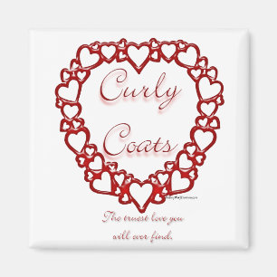 Imã Amor Verdadeiro Revestido Curly