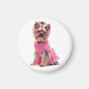 Imã Amor Yorkshire Terrier Puppy Dog Magnet
