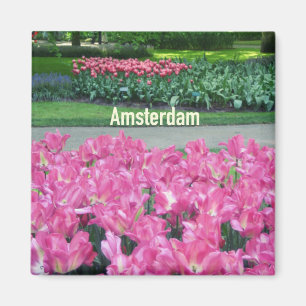 Imã Amsterdão