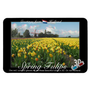 Ímã Anaglyph da opinião da paisagem 3D das tulipas de