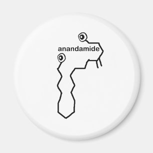 Imã Anandamida Neurotransmissor