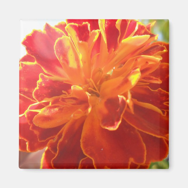 Imã Anastaise (Frente)