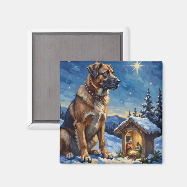 Imã Anatolian Shepherd Dog Guarding Nativity Scene (Front/Back)