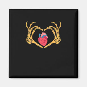 Imã Anatomia Cardíaca Cardíaca Cvicu Enfermeira Ha