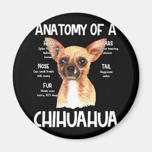 Imã Anatomia De Chihuahua Para Pistas De Cachorro