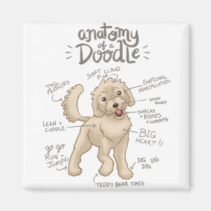 Imã Anatomia de um Cachorro de Dodle