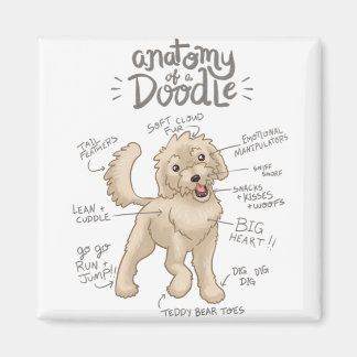Imã Anatomia de um Cachorro de Dodle