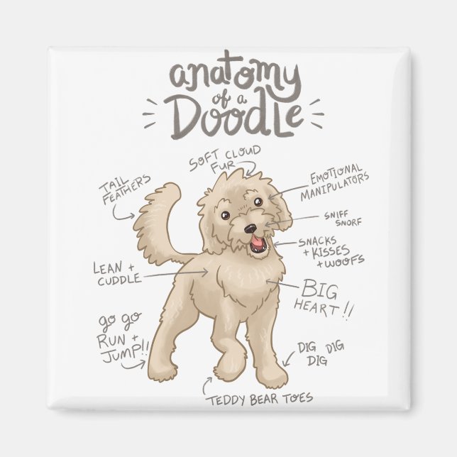 Imã Anatomia de um Cachorro de Dodle (Frente)