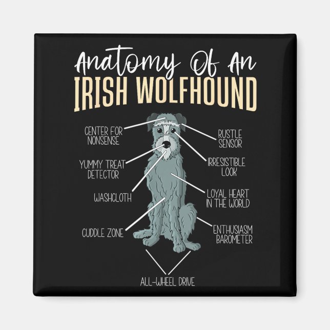 Imã Anatomia de um Irish Wolfhound  (Frente)