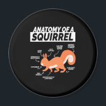 Imã Anatomy Of A Squirrel<br><div class="desc">Anatomy Of A Squirrel</div>