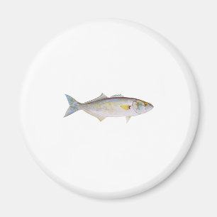 Imã Anchova