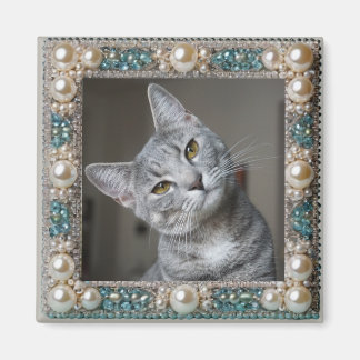 Imã Âncora de Memória de Gato Cinza