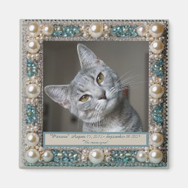Imã Âncora de Memória de Gato Cinza 