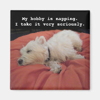 Ancorando o Westie Photo Magnet