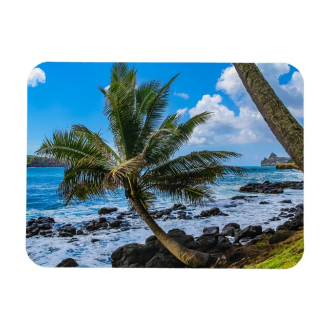 Ímã Andando por aí... (Horizontal)