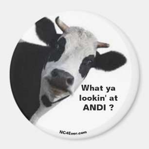 Imã ANDI O que está vendo?