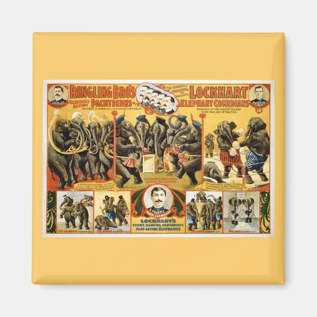 Imã Anéis Pachyderms1899 (Frente)