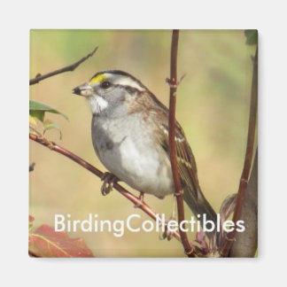 Imã Anel de BirdingCollectibles