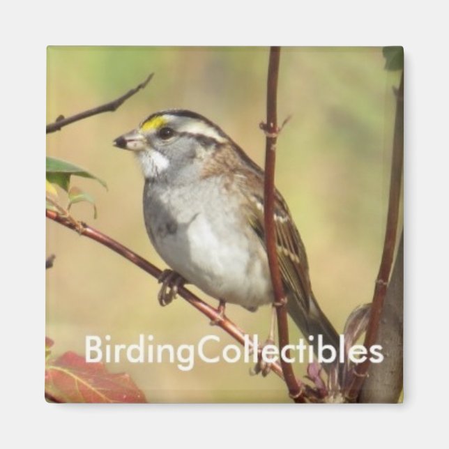 Imã Anel de BirdingCollectibles (Frente)