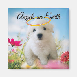 Imã Angel Puppy Magnet