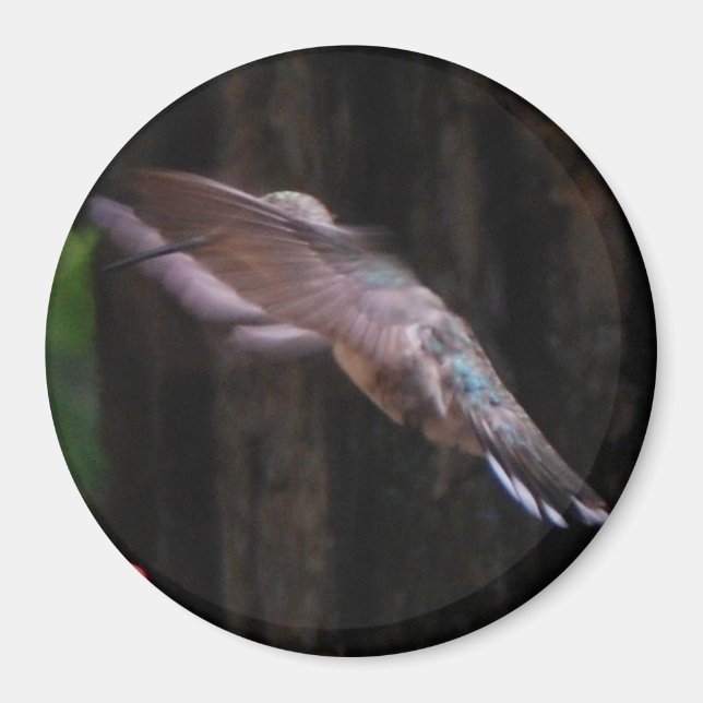 Imã Angelic Wings (Frente)