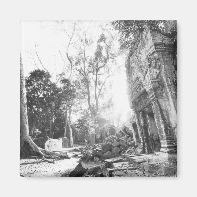 Imã Angkor Camboja, Detalhes Ta Prohm (Frente)
