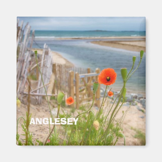 Imã Anglesey Wales Scenic View Beach E Wild Poppies (Frente)