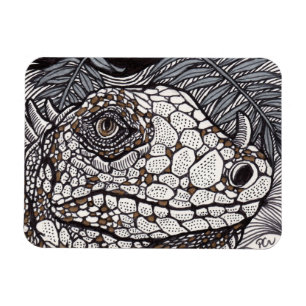 Ímã Angry Iguana