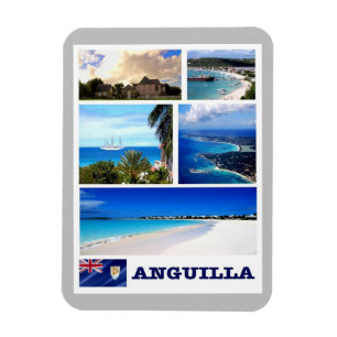 Ímã Anguila - Mosaico -