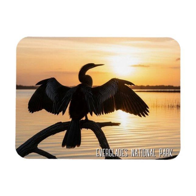 Ímã Anhinga Parque Nacional Everglades (Horizontal)