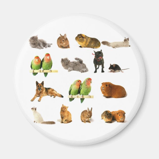 Imã animais (Frente)