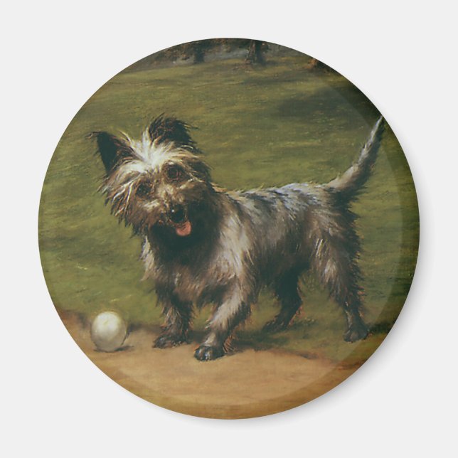 Imã Animais Antigos Cães, Cachorrinho Fofo do Terrier  (Frente)