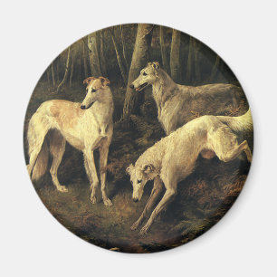 Imã Animais Antigos, Cães de Caça Galgos na Floresta