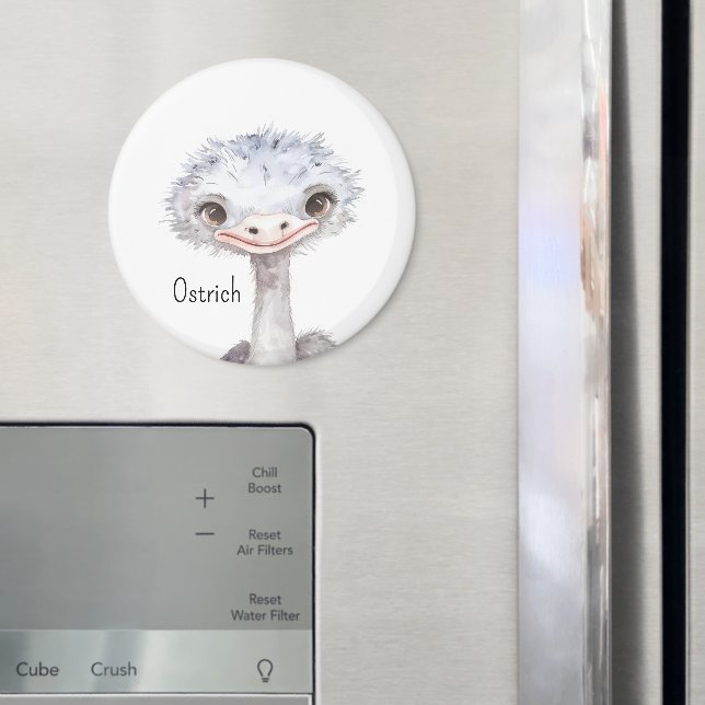 Imã Animais Avestruzes Fofos (In Situ (Fridge))