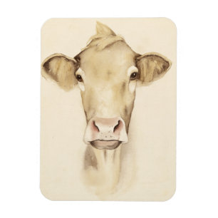 Ímã Animais de Casca de Aquarela  Vaca
