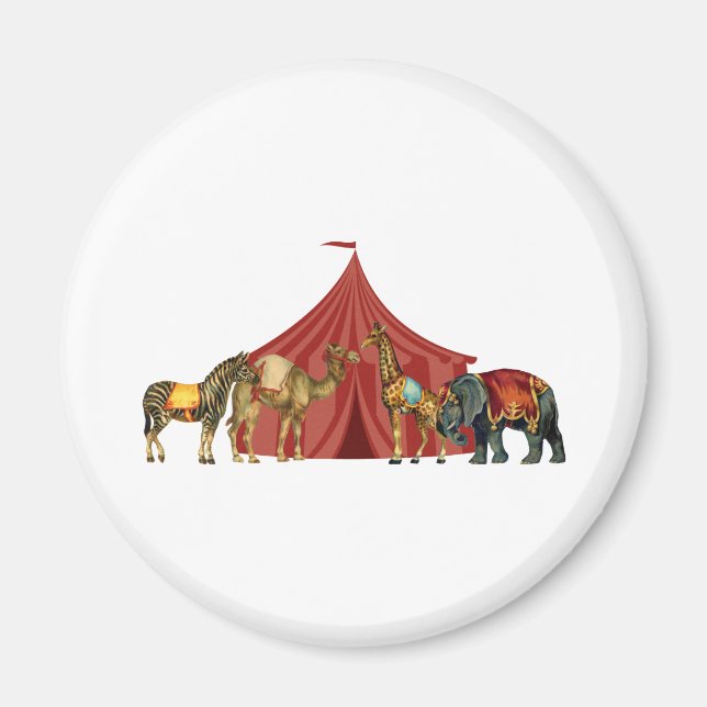 Imã Animais De Circo E Tent (Frente)