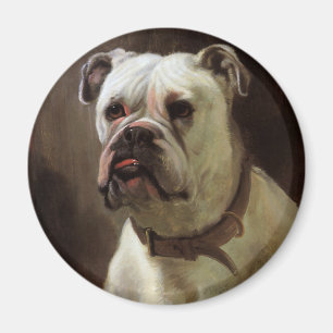 Imã Animais de Estimação Antigos, Retrato de Cachorro 