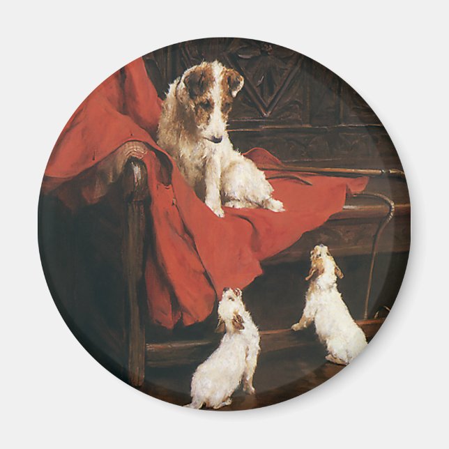 Imã Animais de estimação, Cães de tartaruga Jack Russe (Frente)