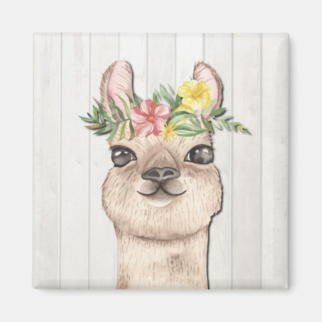 IMÃ ANIMAIS DE PARTES (Frente)