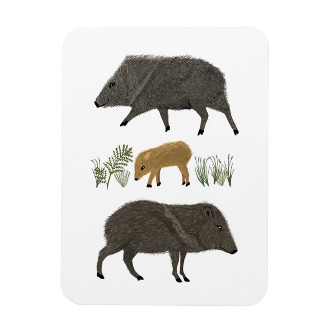 Ímã Animais do Deserto do Retrato da Família Javelina (Vertical)