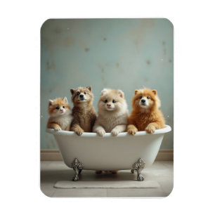 Ímã Animais engraçados na banheira