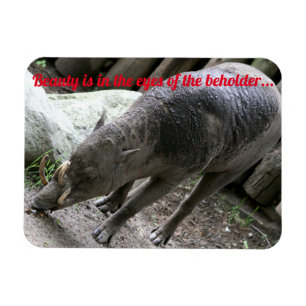 Ímã Animais feios, Babirusa