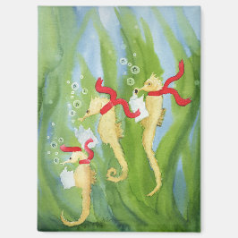 Imã Animais Feriados Anormais: Magnetos De Cavalo Mari