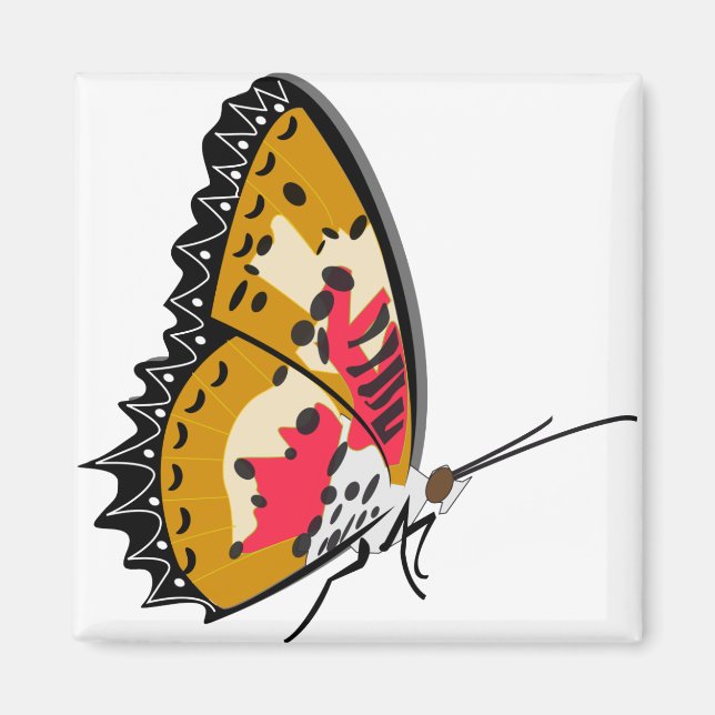 Imã Animais Insetos De Borboleta (Frente)