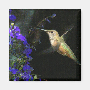 Imã Animais selvagens animais do pássaro do colibri