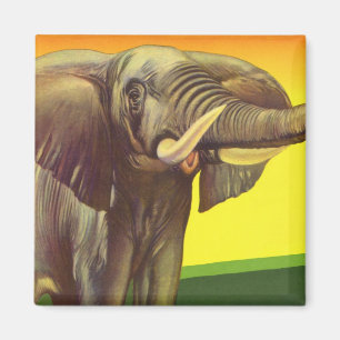 Imã Animais Selvagens Vintage, Elefante Africano com P