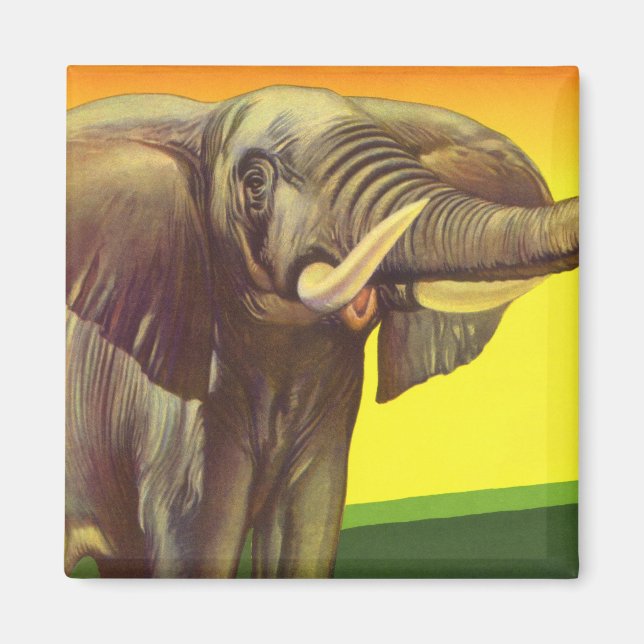 Imã Animais Selvagens Vintage, Elefante Africano com S (Frente)