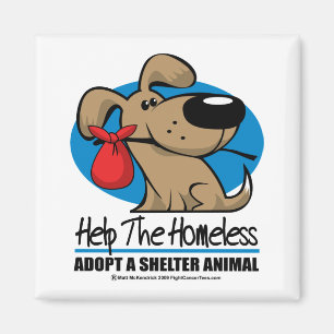 Imã Animal de estimação desabrigado